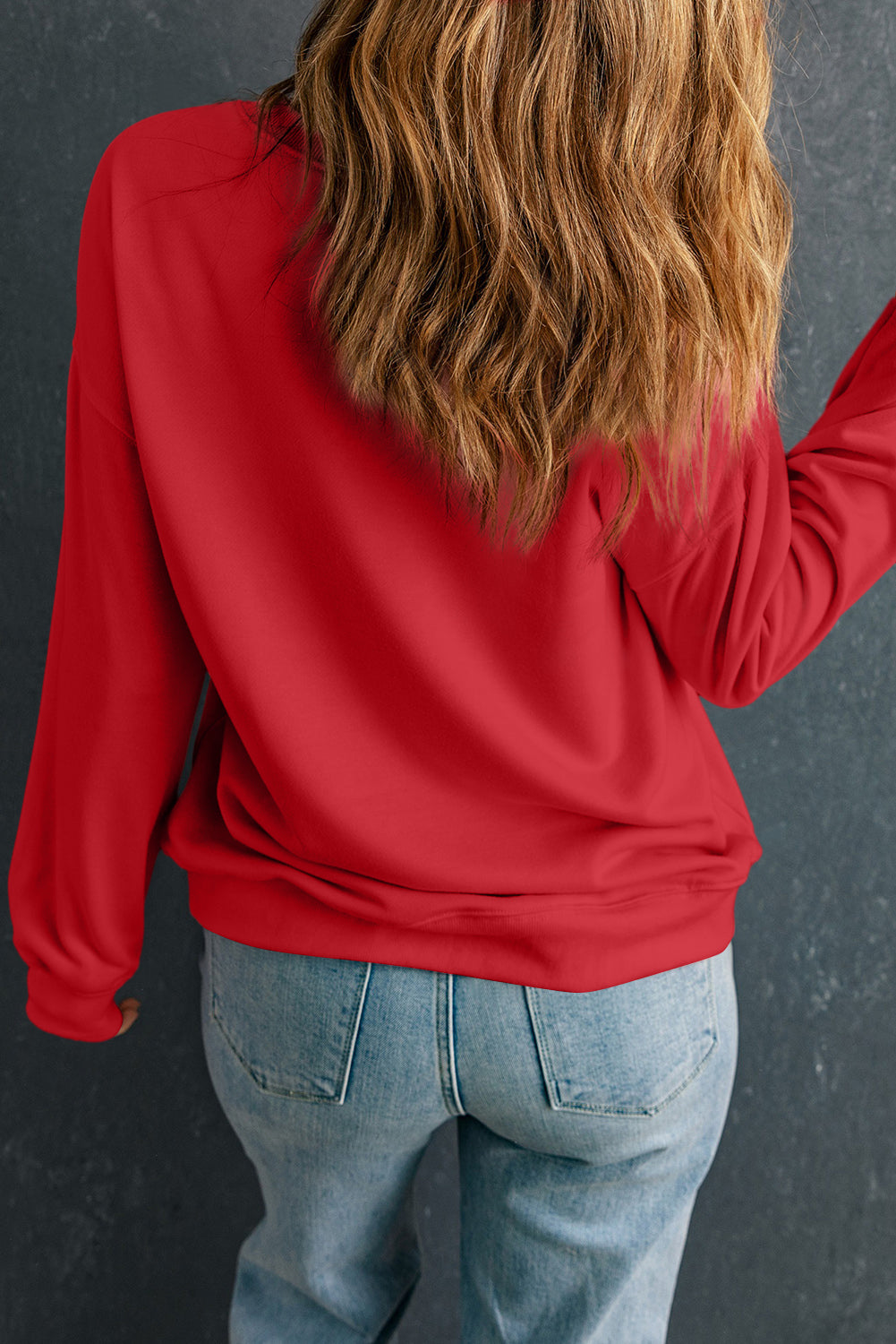 Robin Red Sweatshirt