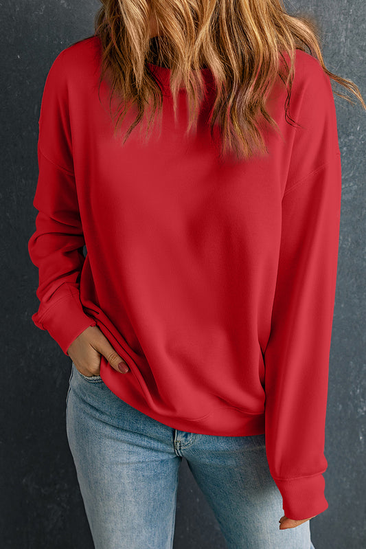 Robin Red Sweatshirt