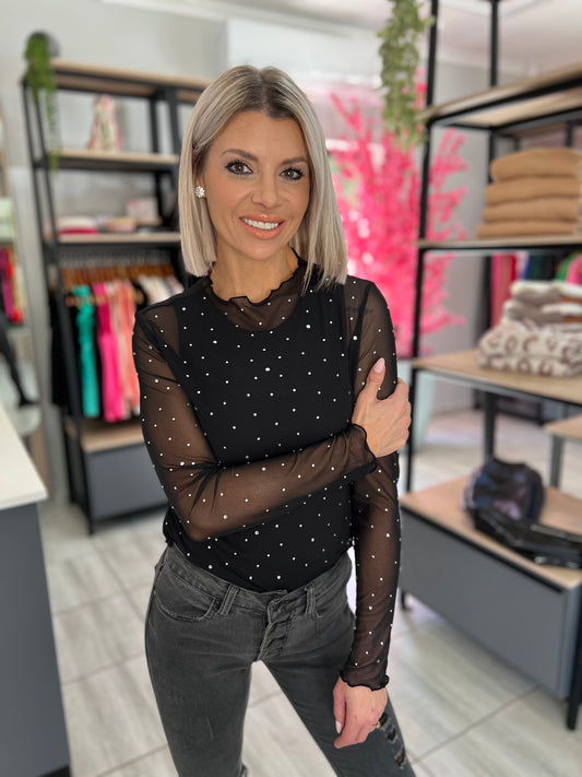 Sparkle Mesh Long Sleeve Top